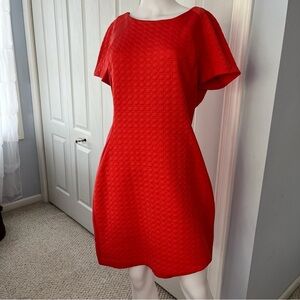 Sharagano orange coral sheath dress. Size 12